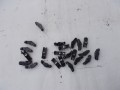 7091199147
