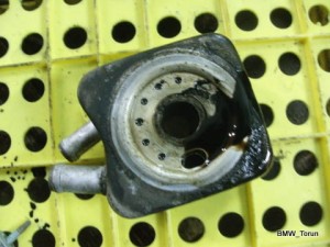 CHŁODNICZKA OLEJU 2.0 V8 LEON GOLF IV