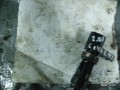 6256974498