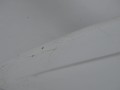 DSC08848.JPG