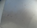 DSC08653.JPG