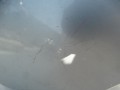 DSC08833.JPG