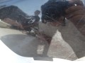 DSC08843.JPG