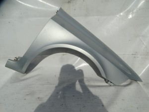 BŁOTNIK PRAWY PRZÓD PRZEDNI RENAULT LAGUNA II TEB64 F-VAT