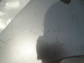 DSC09311.JPG