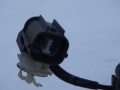 DSC09287.JPG