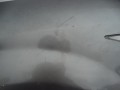 DSC00003.JPG