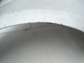 DSC00162.JPG