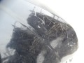 DSC00309.JPG