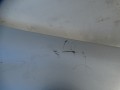 DSC09465.JPG