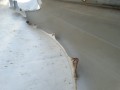 DSC09481.JPG