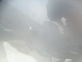 DSC09602.JPG