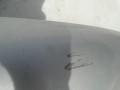 DSC09616.JPG