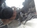 DSC09625.JPG
