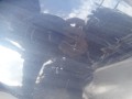 DSC09645.JPG