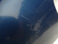 DSC09669.JPG