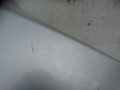 DSC09690.JPG