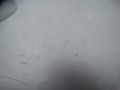 DSC09704.JPG