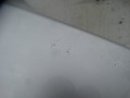 DSC09705.JPG