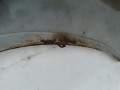 DSC09769.JPG