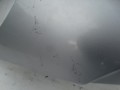 DSC09774.JPG