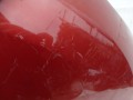 DSC09974.JPG