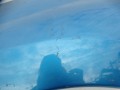 DSC00738.JPG