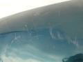 DSC00881.JPG