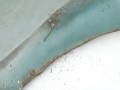 DSC00886.JPG