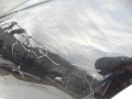 DSC00949.JPG