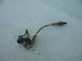 DSC03878.JPG