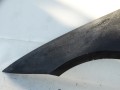 DSC01335.JPG