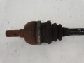 DSC03448.JPG