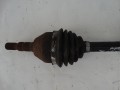DSC03453.JPG