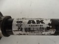 DSC03479.JPG