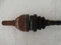 DSC03507.JPG