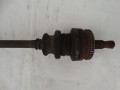 DSC03516.JPG