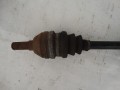 DSC03547.JPG