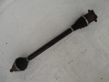 DSC03565.JPG