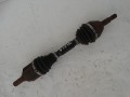 DSC03606.JPG