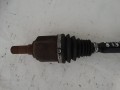 DSC03607.JPG