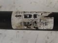 DSC03623.JPG