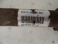DSC03687.JPG