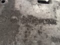 DSC04246.JPG