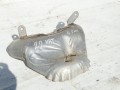 DSC06877.JPG
