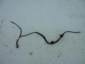 DSC03746.JPG