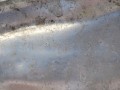 DSC06916.JPG