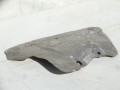 DSC06917.JPG