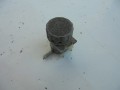 DSC03783.JPG