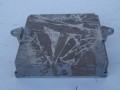 DSC05947.JPG
